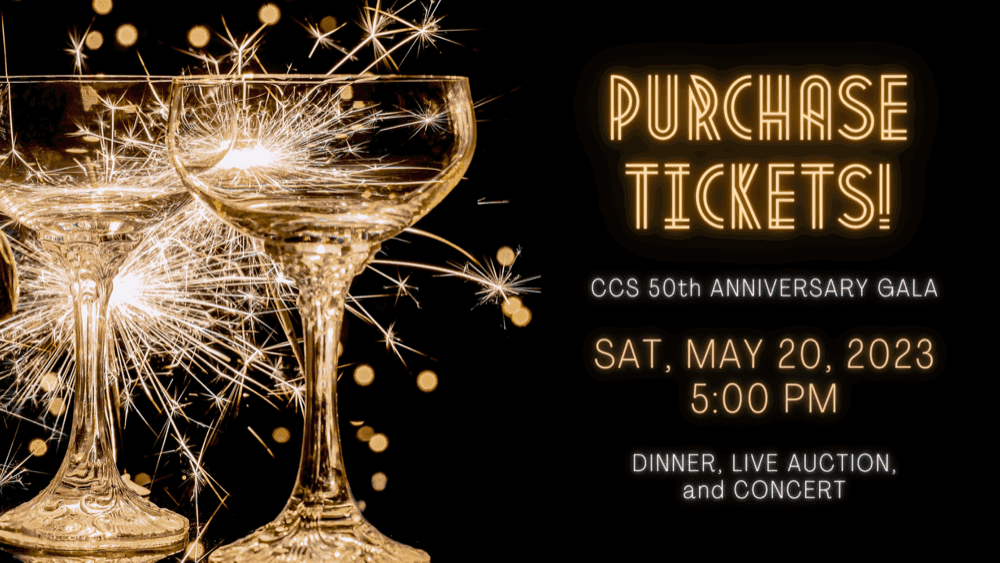 Get Your Ticket! Candlelight Gala on May 20, 2023!